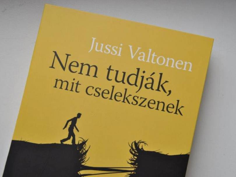 A Finnország 100 ünnepi évben számos finn könyvsiker jelenik meg magyarul